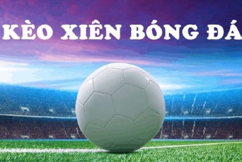 Lưu ý khi tham gia cược xâu tại 8xbet