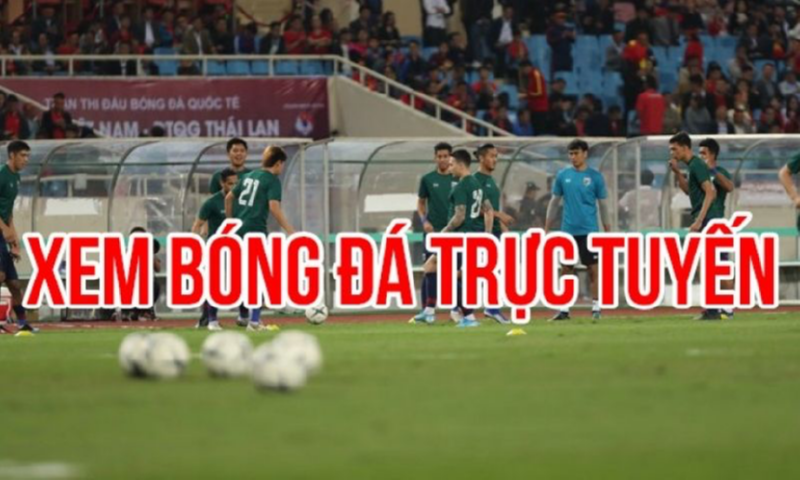 Xem trực tiếp bóng đá 8xbet toàn cầu hoàn toàn miễn phí