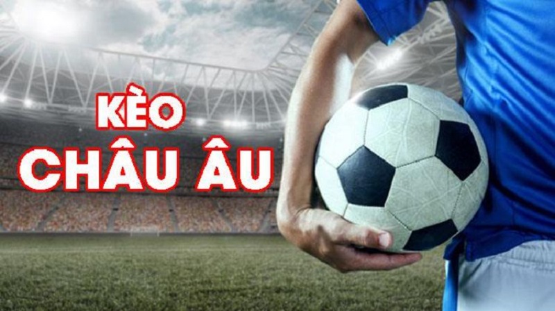 Tỷ lệ bóng đá kèo 8xbet châu Âu dễ chơi nhất cho newbie